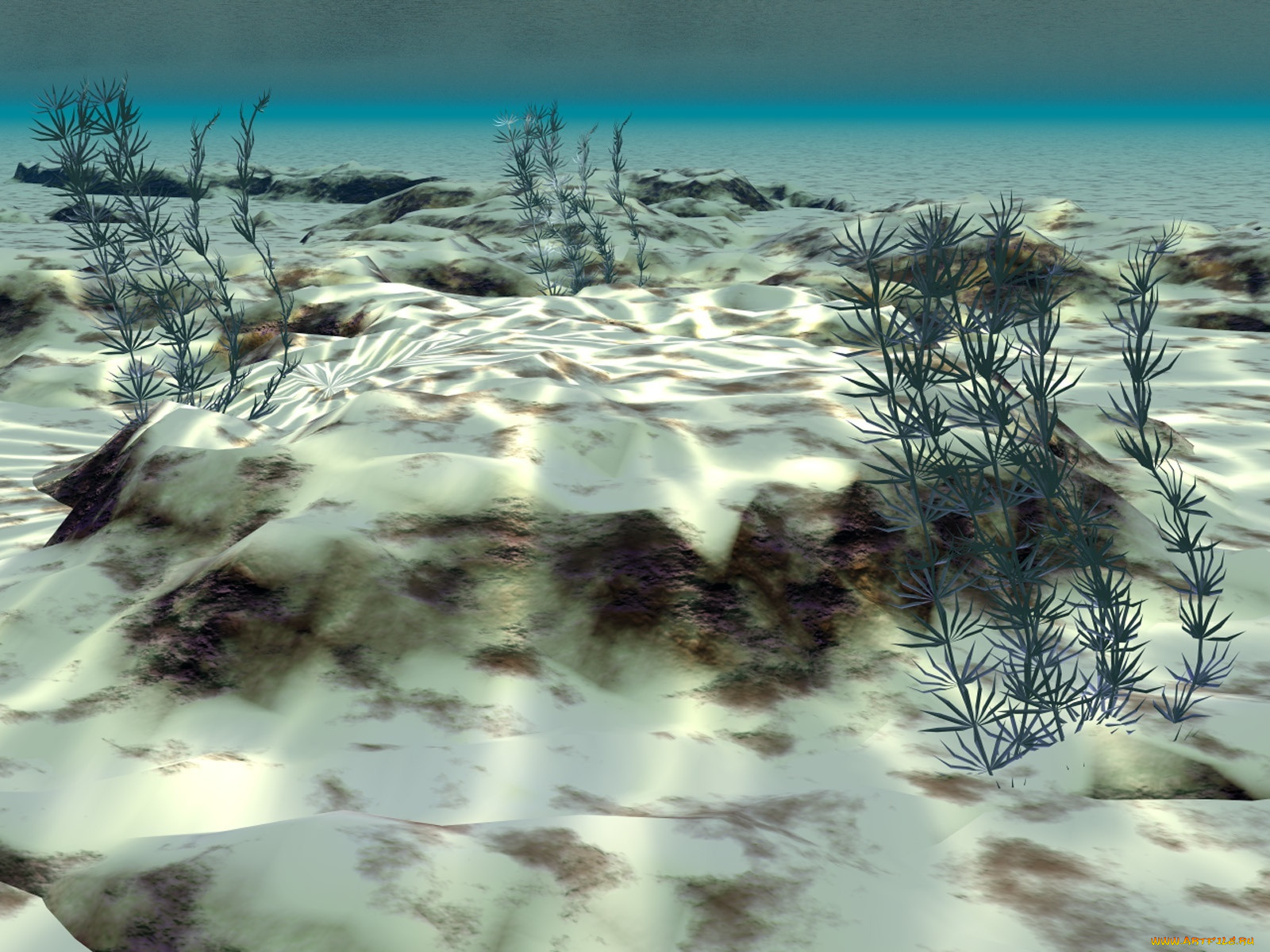 3, , sea, undersea, , , , 